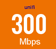 Unifi Business 300Mbps